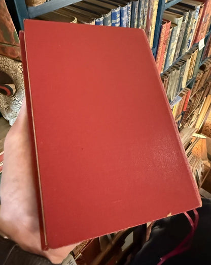 Le Avventure di Pinochio : C. Collodi : Illustrated Italian Edition 1927