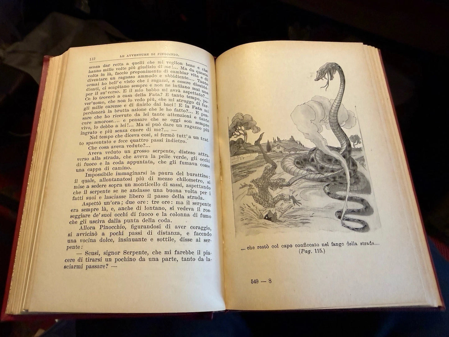 Le Avventure di Pinochio : C. Collodi : Illustrated Italian Edition 1927