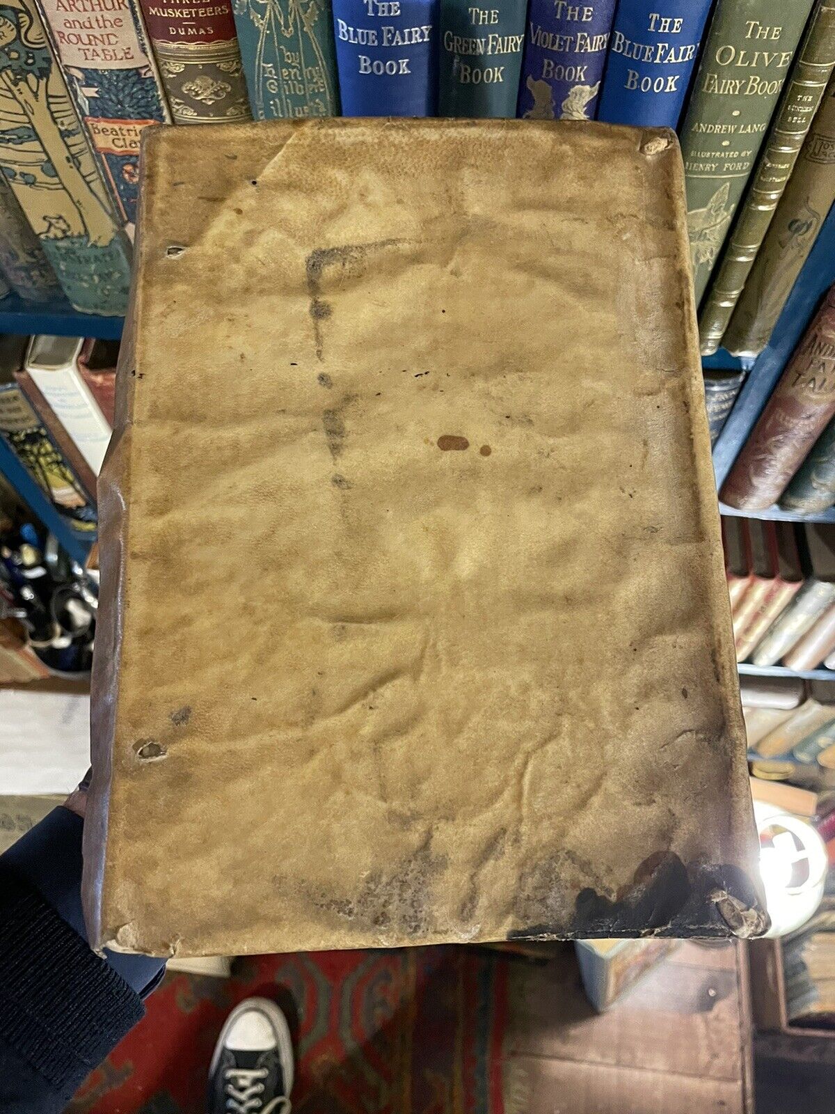 1605 Plautus : M Accl Plauti Lat Comoediae Facile Principis : Vellum Binding