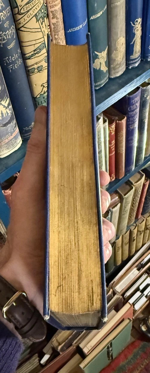 1908 Princes and Princesses : Mrs Andrew Lang : Kings & Queens : Illustrated