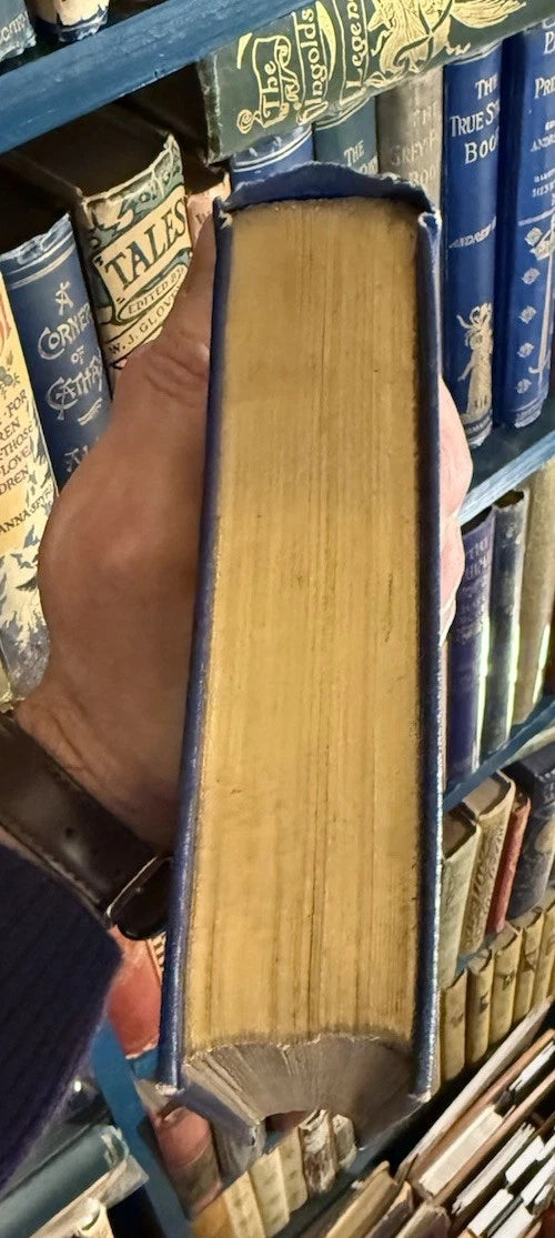 1908 Princes and Princesses : Mrs Andrew Lang : Kings & Queens : Illustrated