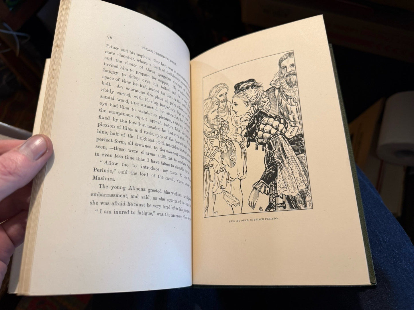 1874 Prince Perindo's Wish; A Fairy Romance for Youths and Maidens
