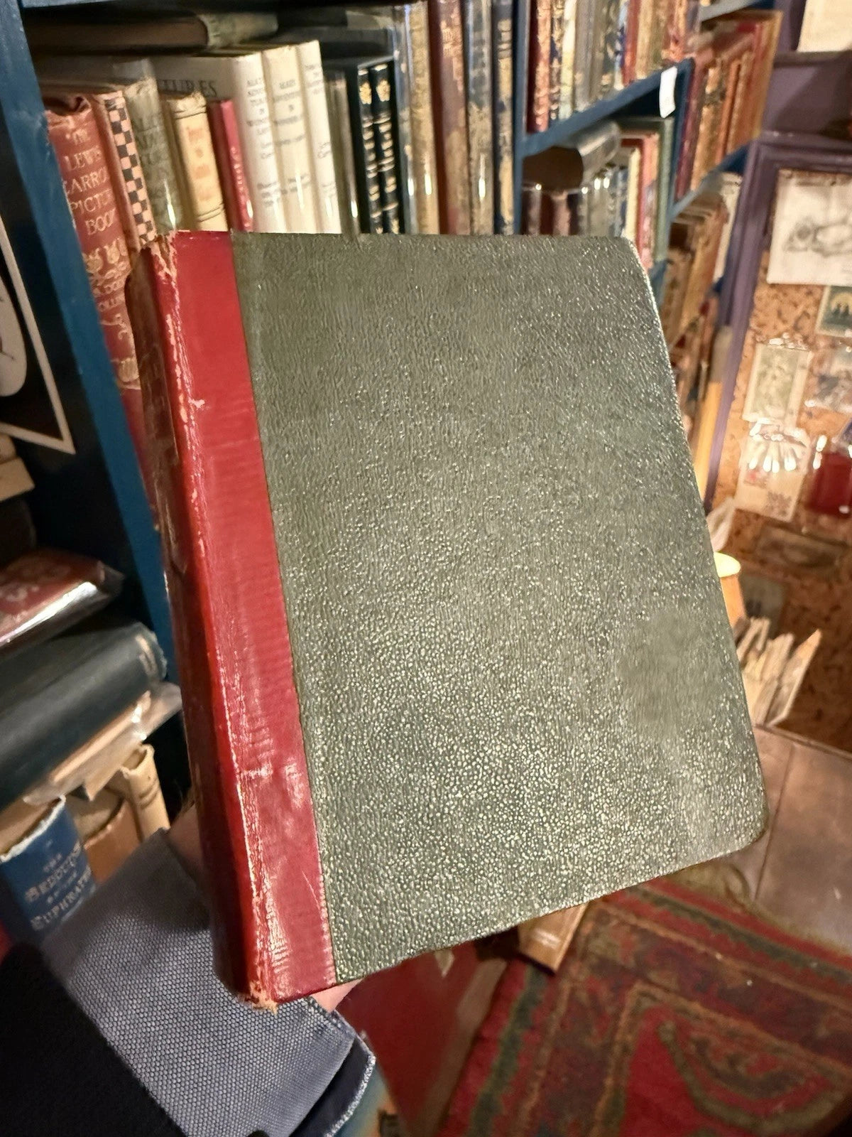 1834 Natural History of Quadrupeds : Part II : Thomas Landseer : Natural History