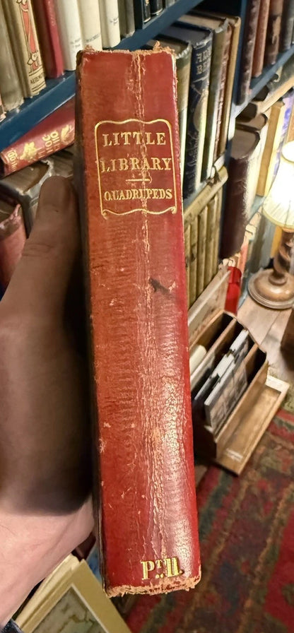 1834 Natural History of Quadrupeds : Part II : Thomas Landseer : Natural History