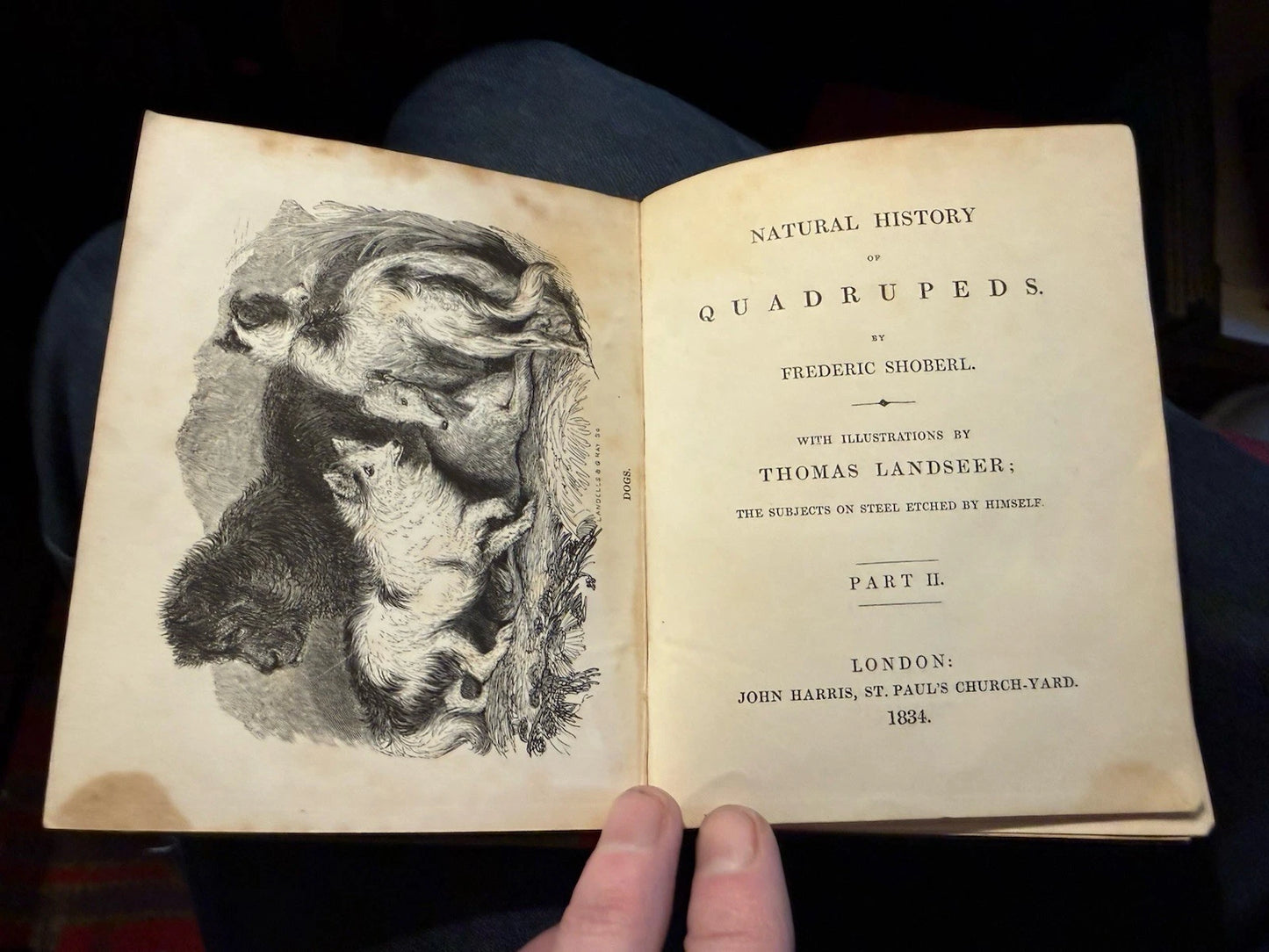 1834 Natural History of Quadrupeds : Part II : Thomas Landseer : Natural History