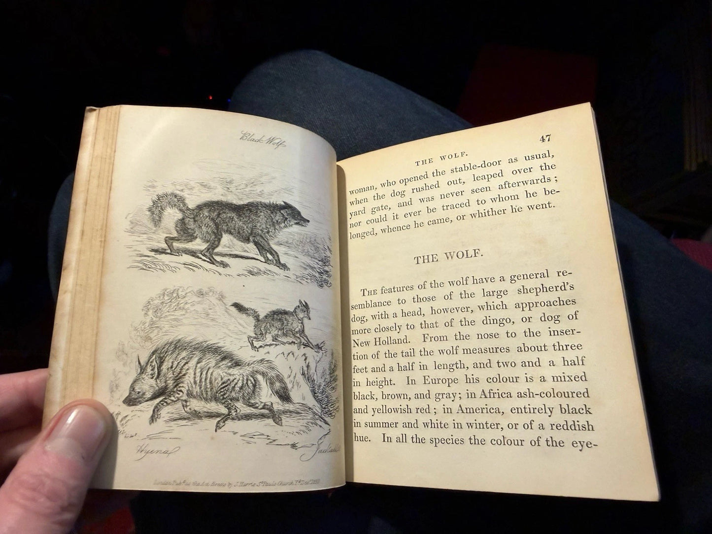 1834 Natural History of Quadrupeds : Part II : Thomas Landseer : Natural History
