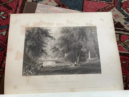 1840 American Scenery (2 Vols) 119 Engravings : Willis William & Bartlett 1st Ed