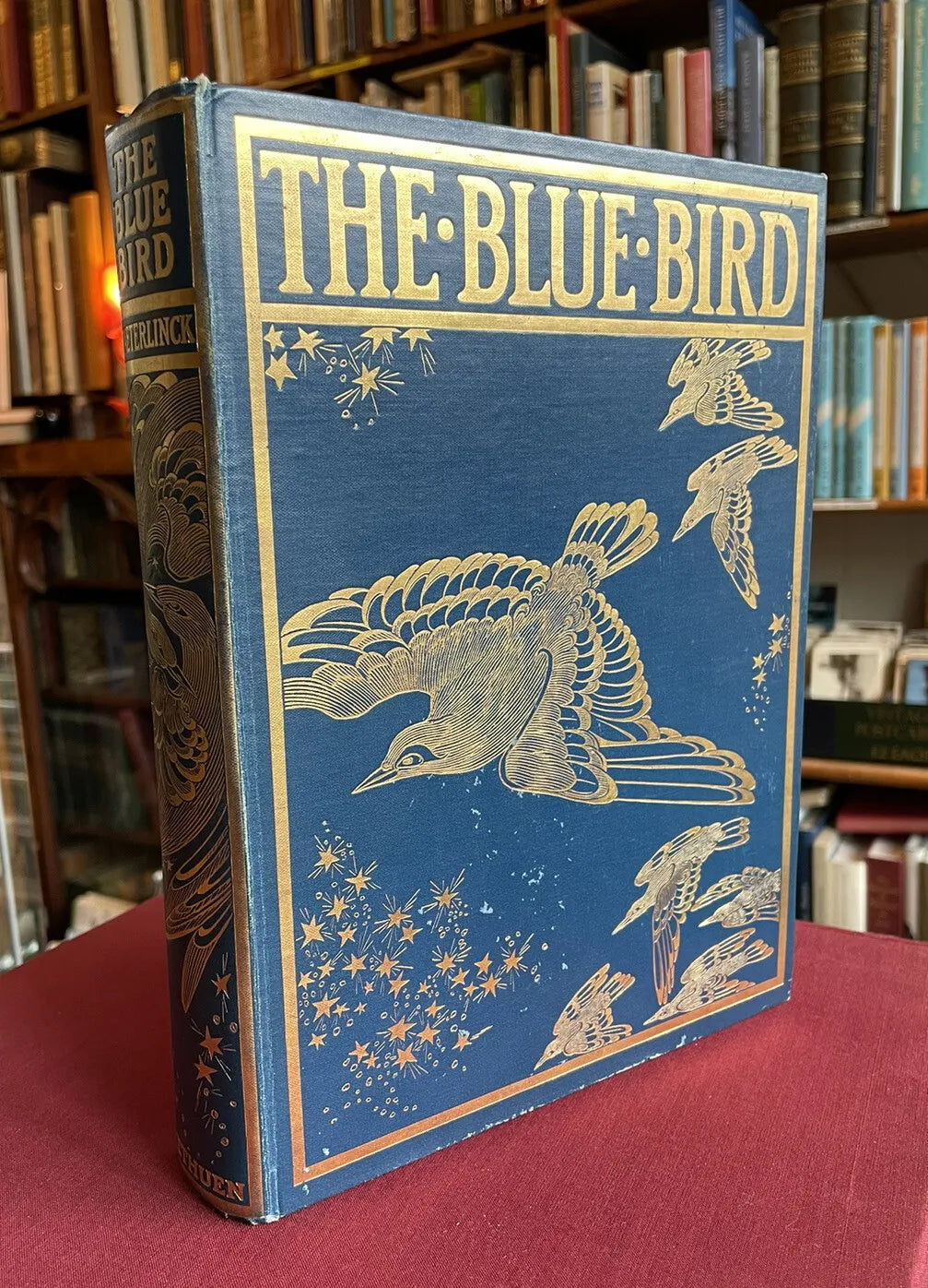 1912 The Blue Bird : A Fairy Play : Maurice Maeterlinck Colour Illus by Robinson