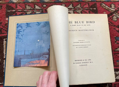 1912 The Blue Bird : A Fairy Play : Maurice Maeterlinck Colour Illus by Robinson