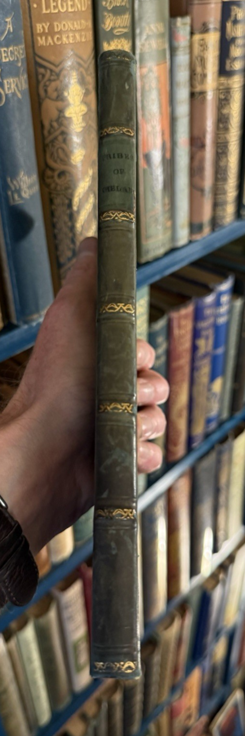 1852 The Tribes of Ireland : A Satire : Aenghus O'Daly : 16th Century Irish Poet