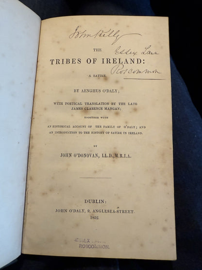 1852 The Tribes of Ireland : A Satire : Aenghus O'Daly : 16th Century Irish Poet