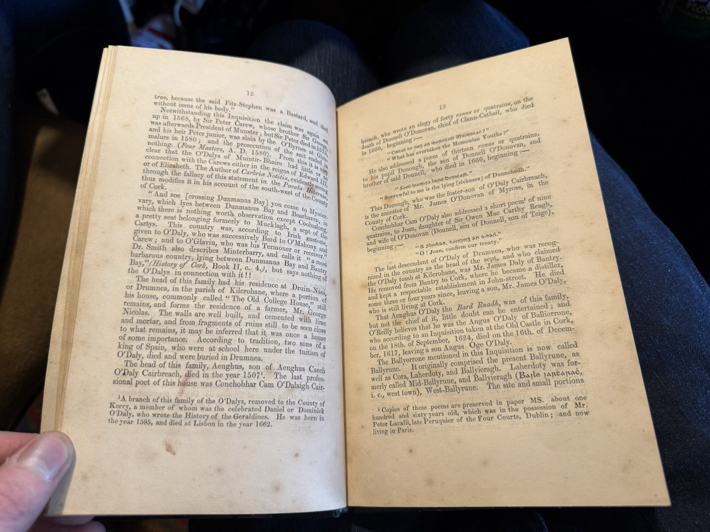 1852 The Tribes of Ireland : A Satire : Aenghus O'Daly : 16th Century Irish Poet