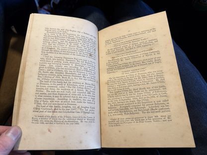 1852 The Tribes of Ireland : A Satire : Aenghus O'Daly : 16th Century Irish Poet