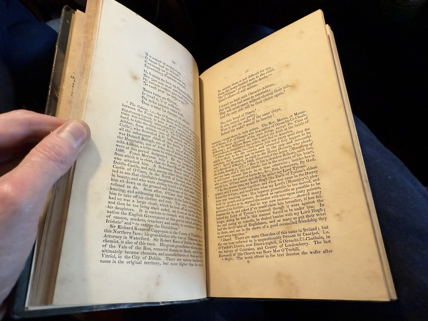 1852 The Tribes of Ireland : A Satire : Aenghus O'Daly : 16th Century Irish Poet