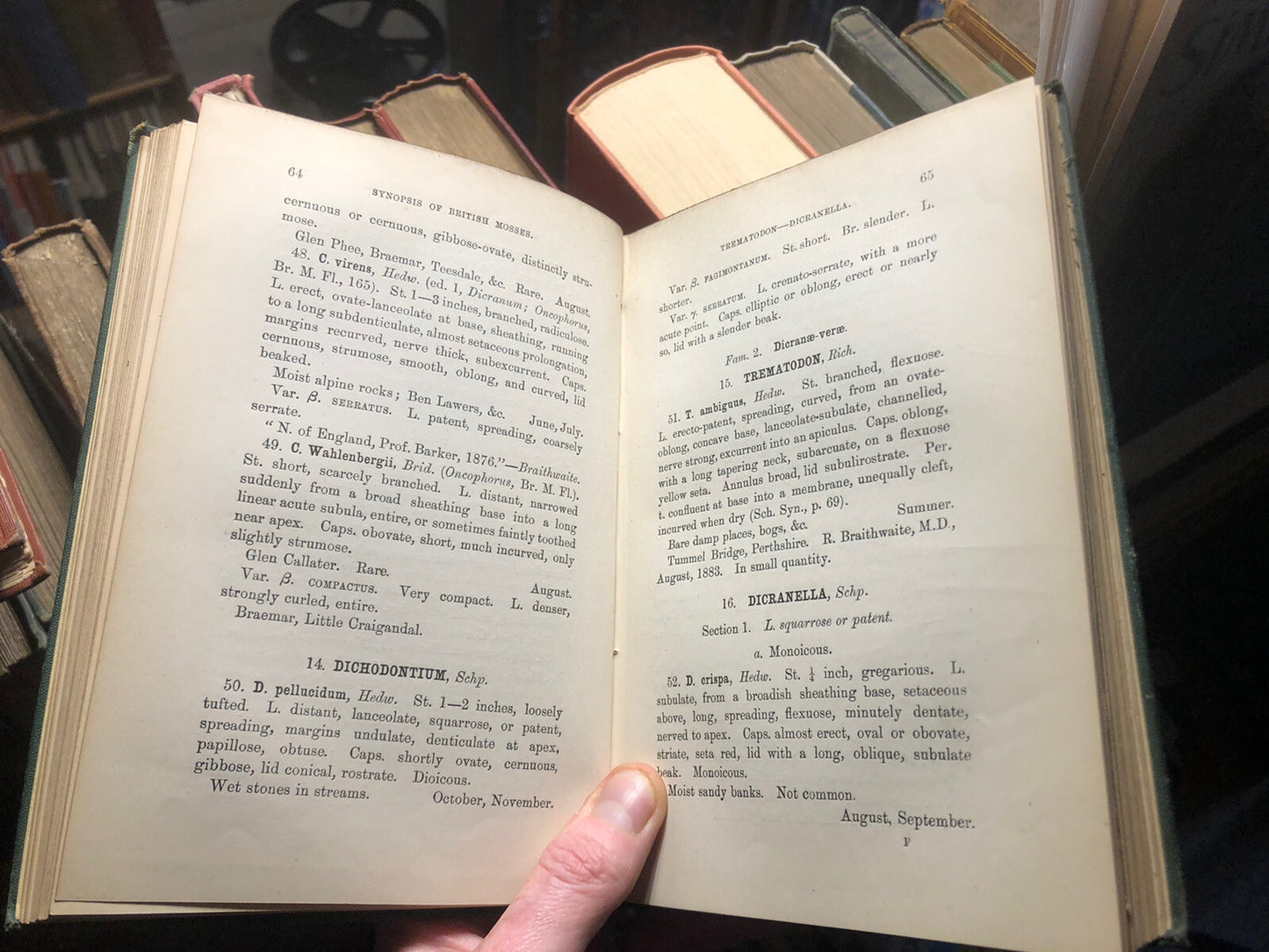 1884 A Synopsis of British Mosses (and Ireland) Genera / Species : Hobkirk