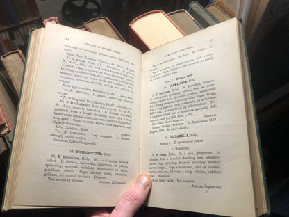 1884 A Synopsis of British Mosses (and Ireland) Genera / Species : Hobkirk