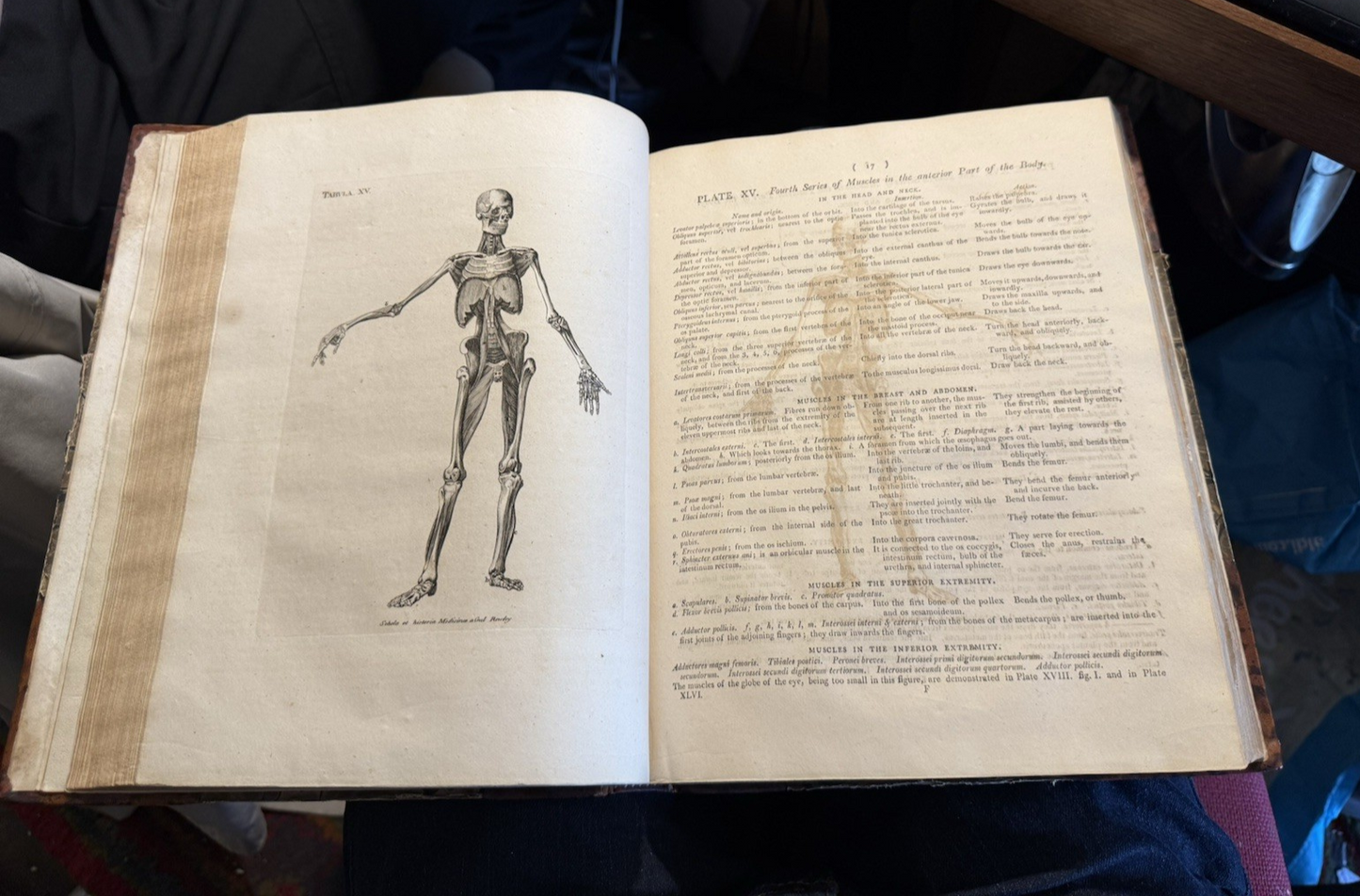 1803 Schola Medicinae; New Universal History and School of Medicine : Rowley