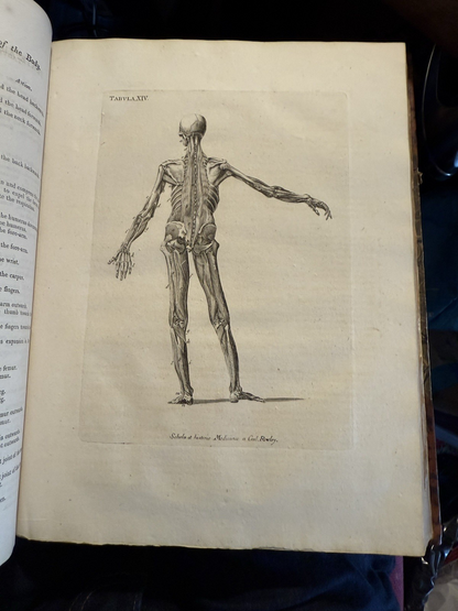 1803 Schola Medicinae; New Universal History and School of Medicine : Rowley