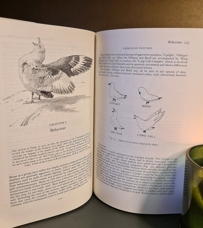 The Skuas, R. Furness, Hardback: First Edition: Bird Classification: Ornithology
