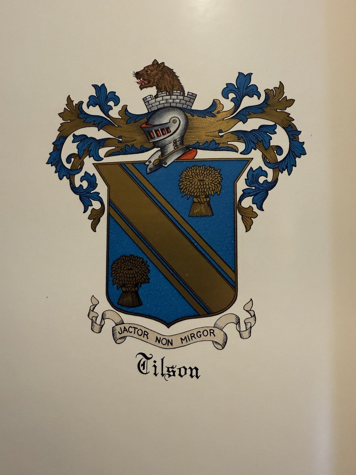 Snowden, McLelland & Allied Families : Bound by Stikeman : Genealogy 1934