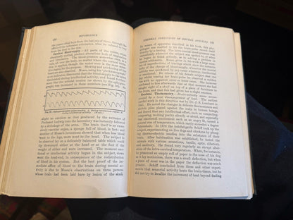 Text book of Psychology : William James : Macmillan 1892 : First Edition
