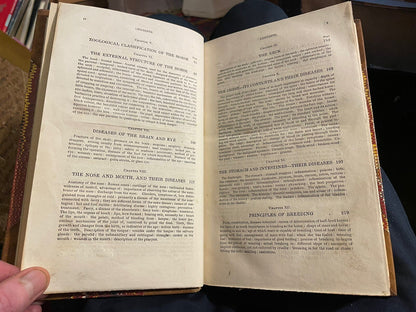 1831 The Horse with a Treatise on Draught : W. Youatt : Illustrated