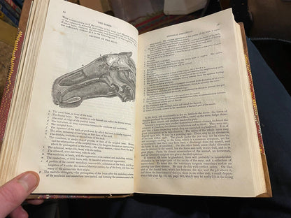 1831 The Horse with a Treatise on Draught : W. Youatt : Illustrated