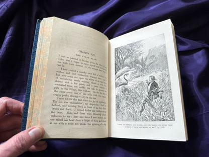 1899 Treasure Island : Robert Louis Stevenson : Fine Prize Binding : Illustrated