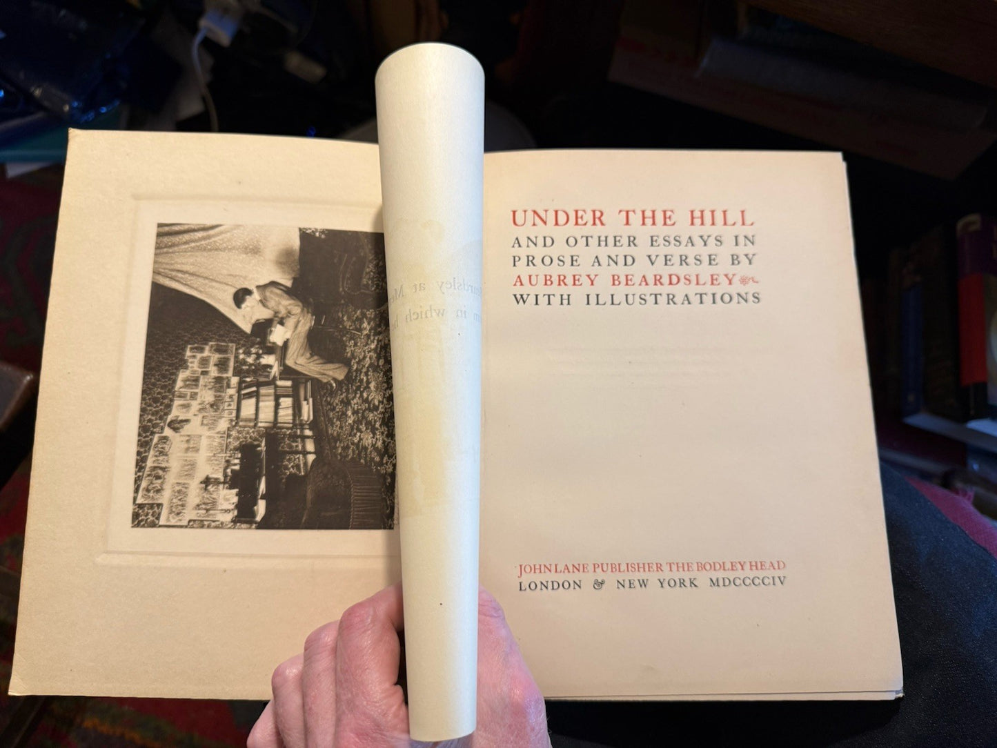 Aubrey Beardsley : Under the Hill : Decorative Cloth Binding : 1st Edition 1904
