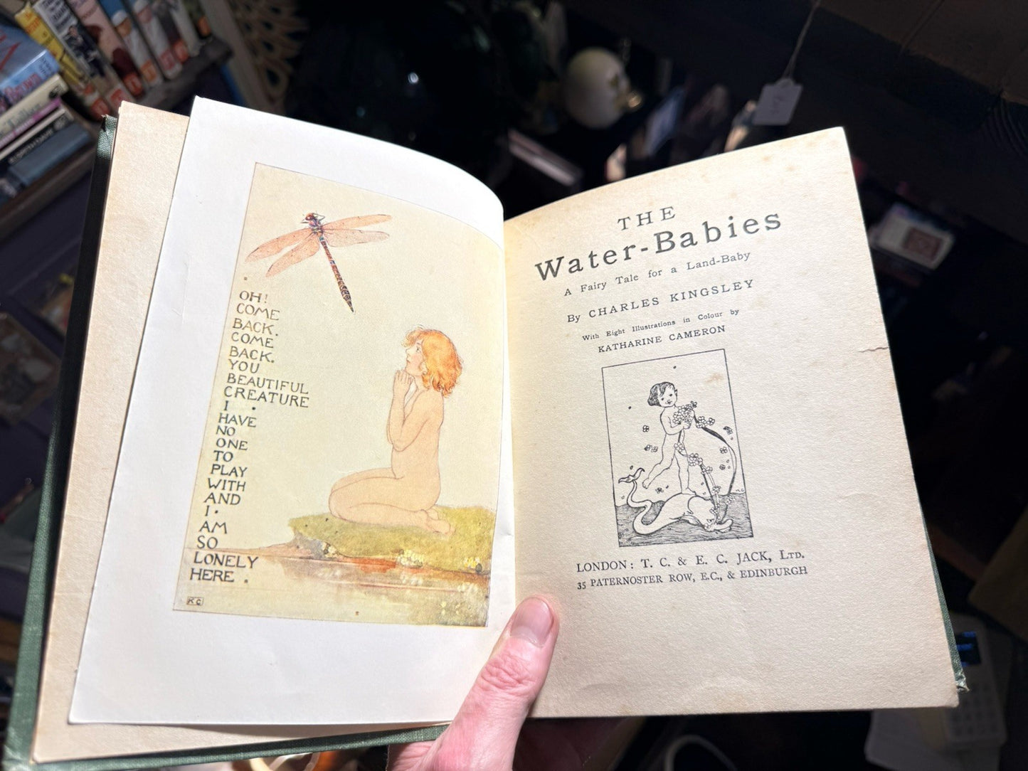 c1910 The Water Babies : A Fairytale for a Land-Baby : Charles Kingsley