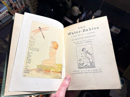 c1910 The Water Babies : A Fairytale for a Land-Baby : Charles Kingsley