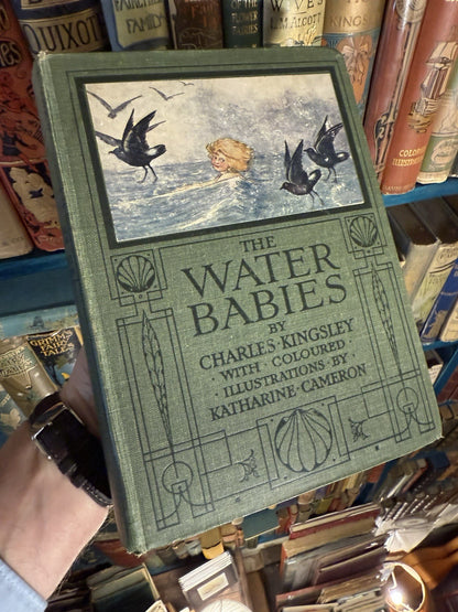 c1910 The Water Babies : A Fairytale for a Land-Baby : Charles Kingsley