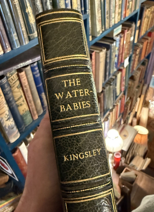 The Water Babies : Charles Kingsley : Bayntun-Riviere : 1st UK Ed 1863