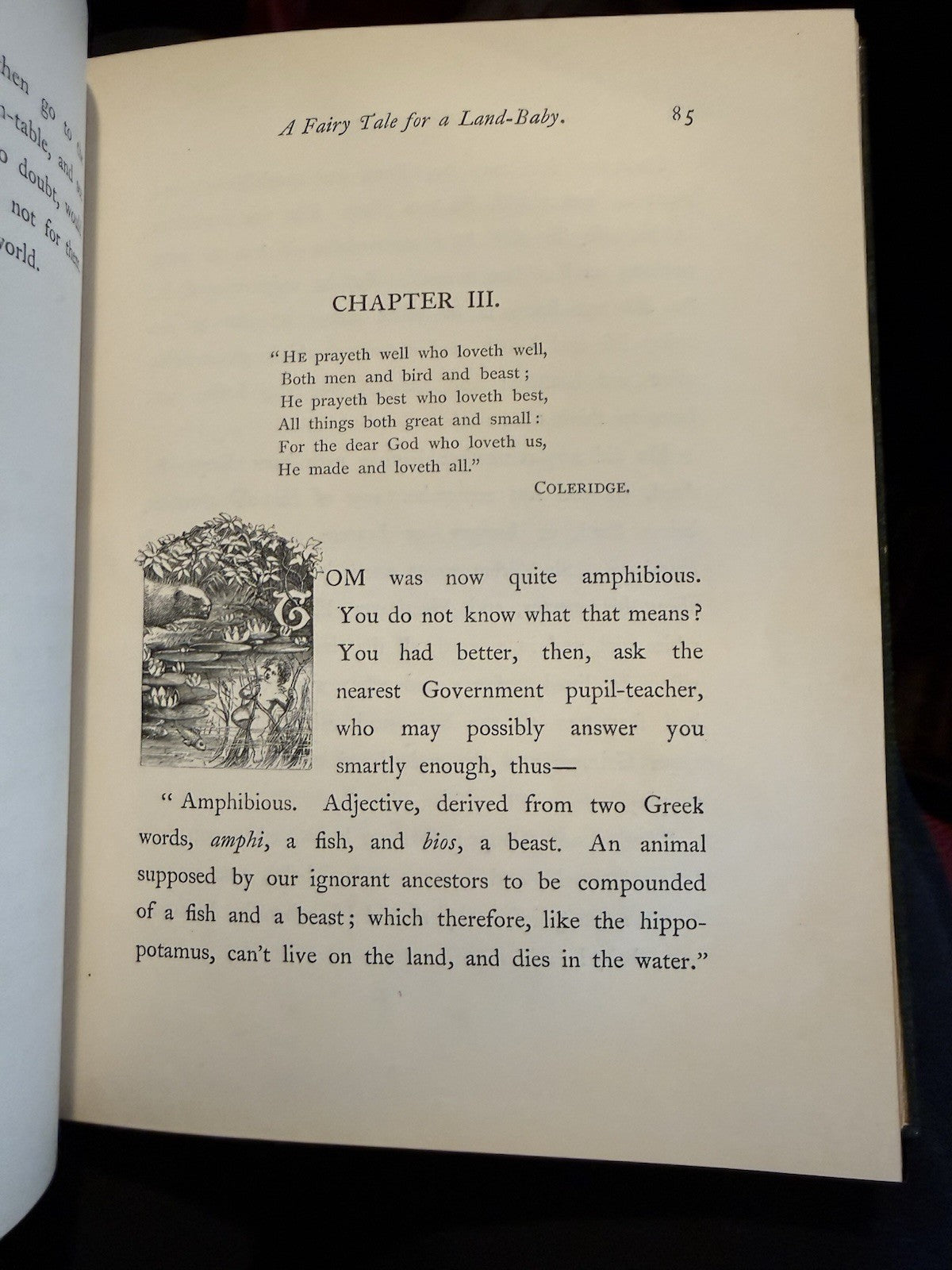 The Water Babies : Charles Kingsley : Bayntun-Riviere : 1st UK Ed 1863