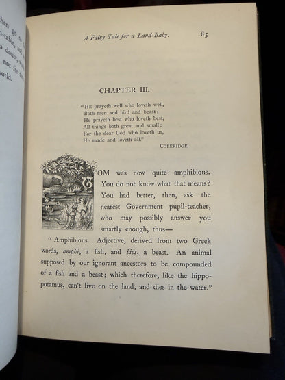 The Water Babies : Charles Kingsley : Bayntun-Riviere : 1st UK Ed 1863