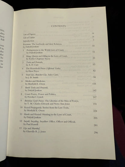 The Welsh King and His Court : Medieval Wales : Welsh Royal Households : Hardback