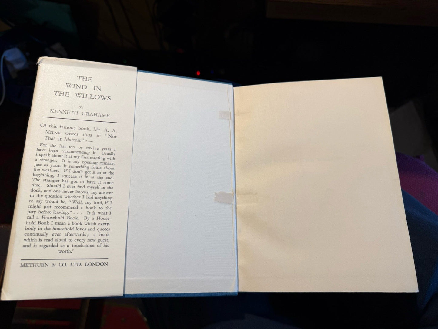 1933 The Wind in the Willows : Kenneth Grahame : Dust Jacker by Edith Morris