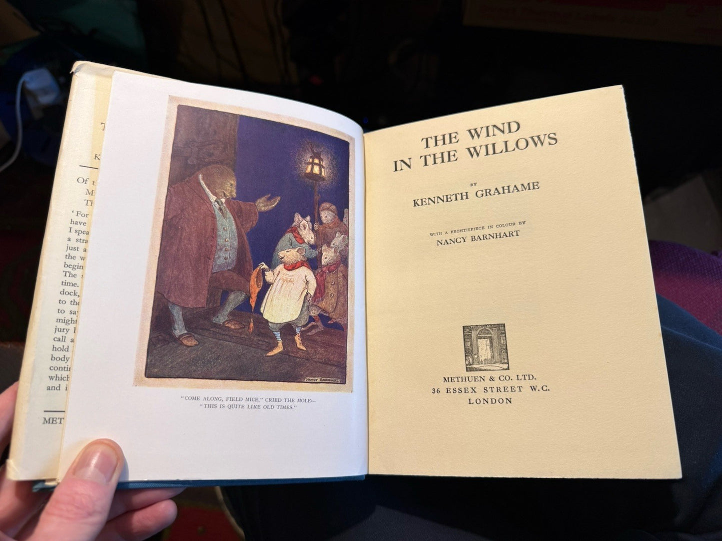 1933 The Wind in the Willows : Kenneth Grahame : Dust Jacker by Edith Morris