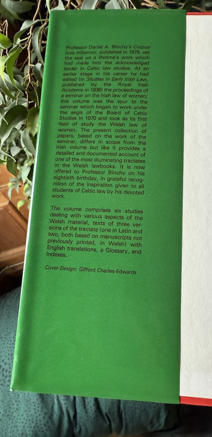 The Welsh Law of Women : Celtic Law Studies : Presented to Daniel A Binchy