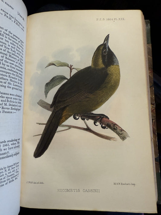 1864 Scientific Meetings of the Zoological Society : 30 Chromolithographs