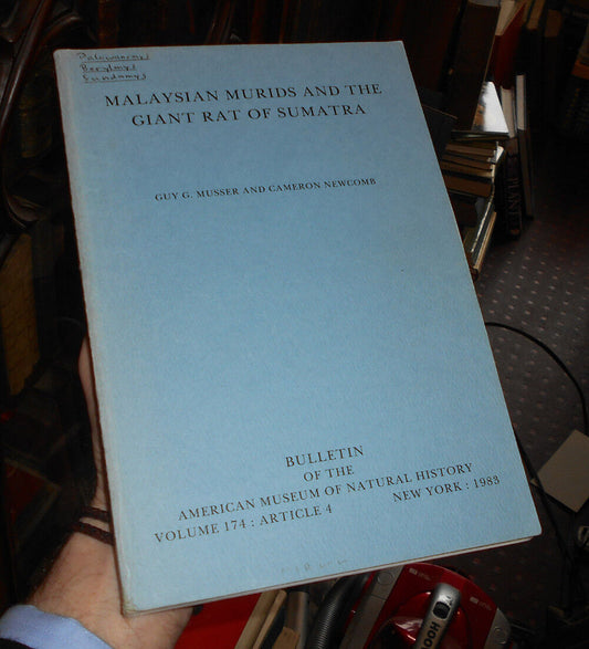 MALAYSIAN MURIDS and the GIANT RAT of SUMATRA American Museum of Natural History