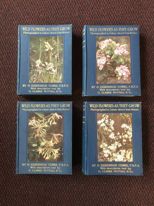 1912 Wild Flowers and How They Grow (4 Volumes) Colour Plates - Essenhigh Corke