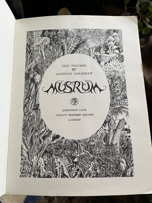 MUSRUM Eric Thacker &amp; Anthony Earnshaw WIERD TRIPPY BIZARRE FANTASY Typography