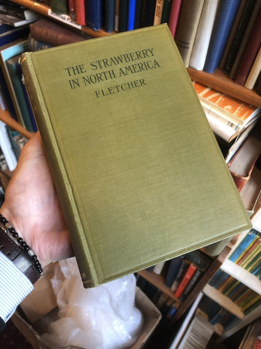 The STRAWBERRY in NORTH AMERICA - History Origin Botany and Breeding 1917