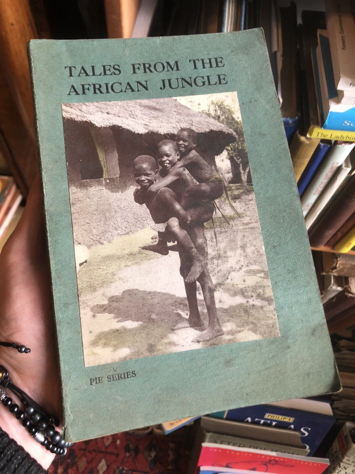 1928 Tales from the African Jungle : Soldier Ants : Mangrove Swamps Africa