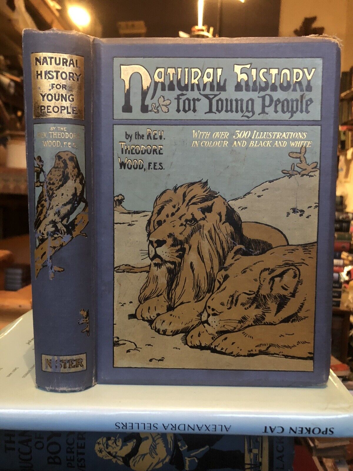 Wood's A Natural History For Young People (300 illustrations) Colour Plates 1909