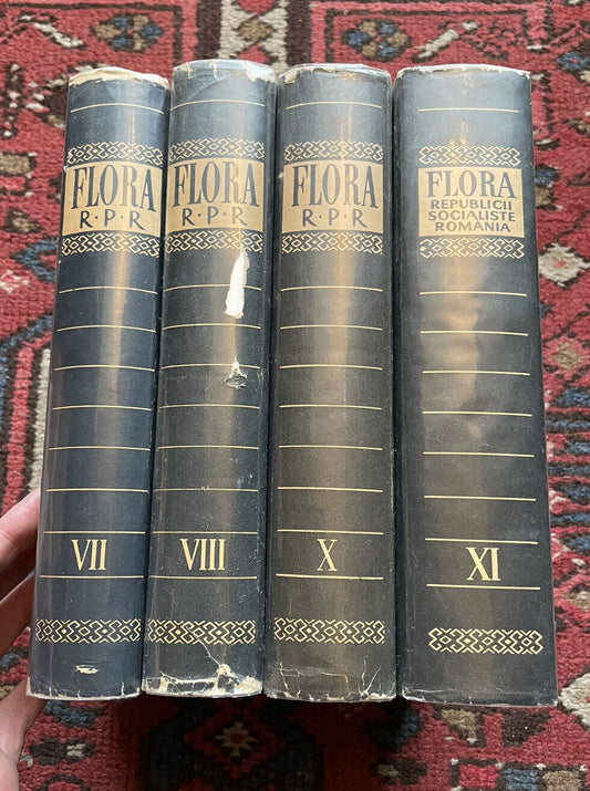 Flora of the Romanian People's Republic (4 volumes) Flowers of Romania Botany