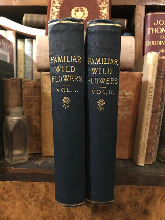 c1900 FAMILIAR WILD FLOWERS F Edward Hulme 160 COLOUR PLATES series 1,2,3,4