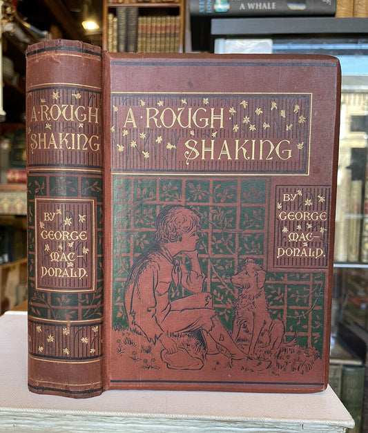 1891 George Macdonald : A Rough Shaking : First Edition Illustrated