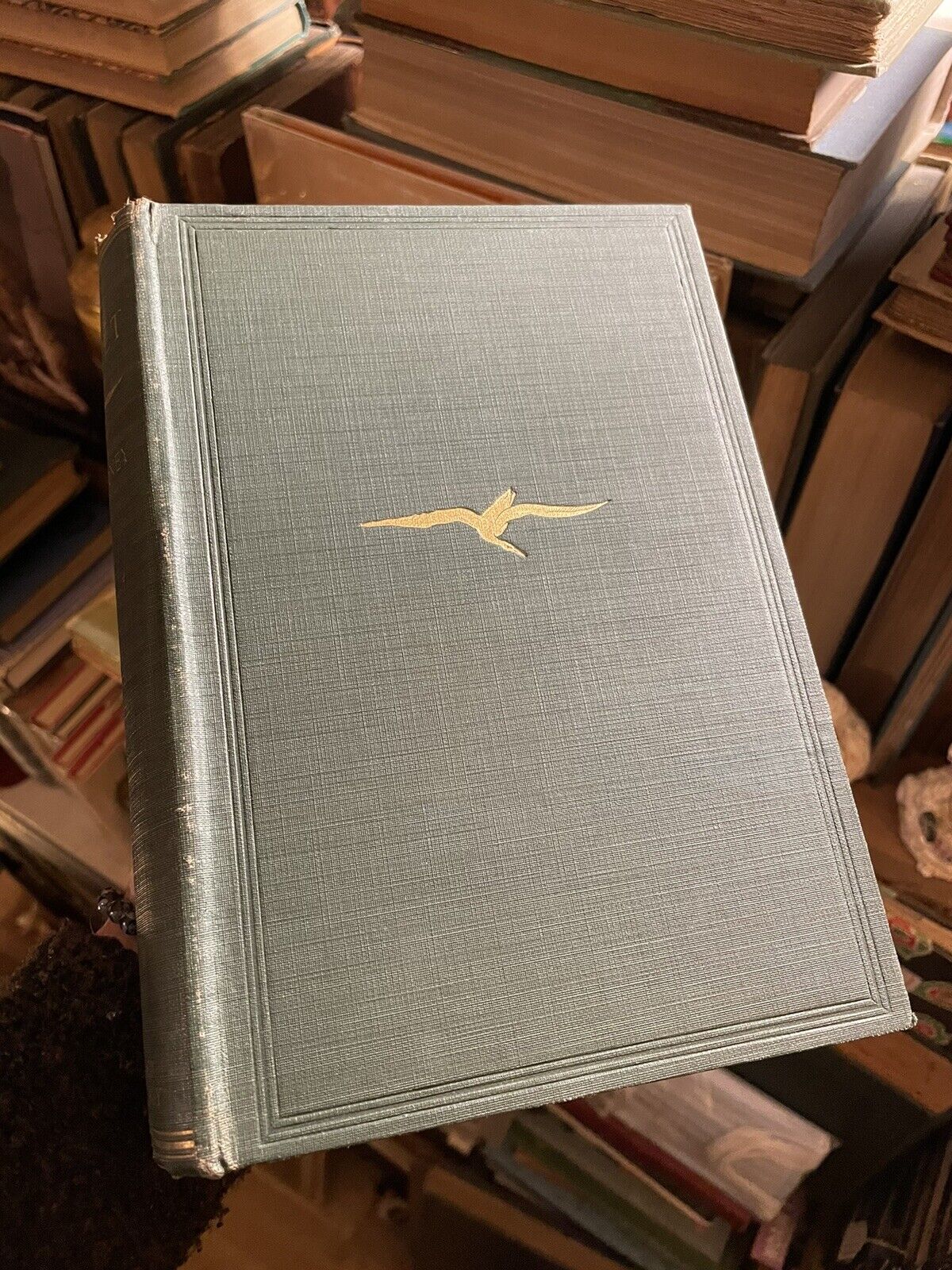 1913 The Gannet : A Bird with a History : J. H. Gurney: Worldwide distribution